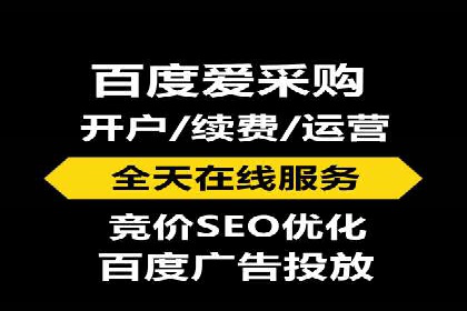 谷歌竞价广告的投放策略与成功案例分析